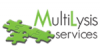 MULTILYSIS SERVICES LIMITED