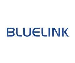 Blue Link Ltd
